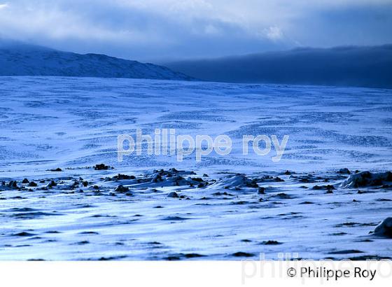 PAYSAGE DE NEIGE, SUDURLAND, ISLANDE (IS000415.jpg)