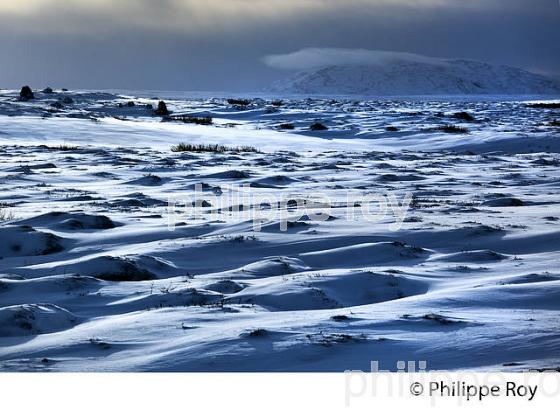 PAYSAGE DE NEIGE, SUDURLAND, ISLANDE (IS000416.jpg)