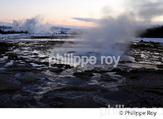 CHAMP  GEOTHERMIQUE DU GEYSER  GEYSIR, SUDURLAND, ISLANDE (IS000620.jpg)