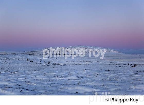 PAYSAGE D' HIVER PRES DE SELFOSS, SUDURLAND, ISLANDE (IS000640.jpg)