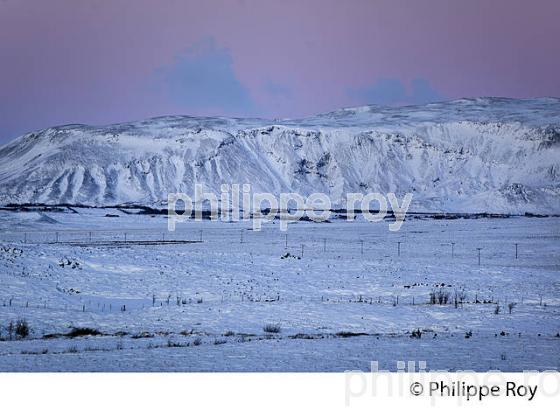 PAYSAGE D' HIVER PRES DE SELFOSS, SUDURLAND, ISLANDE (IS000704.jpg)