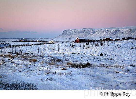 PAYSAGE D' HIVER PRES DE SELFOSS, SUDURLAND, ISLANDE (IS000707.jpg)