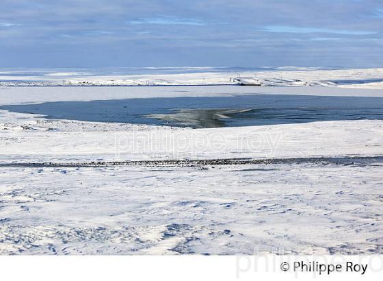 PAYSAGE D' HIVER, LAC HRAUNEYJALON, MASSIF  DU LANDMANNALAUGAR, SUDURLAND, ISLANDE (IS000832.jpg)