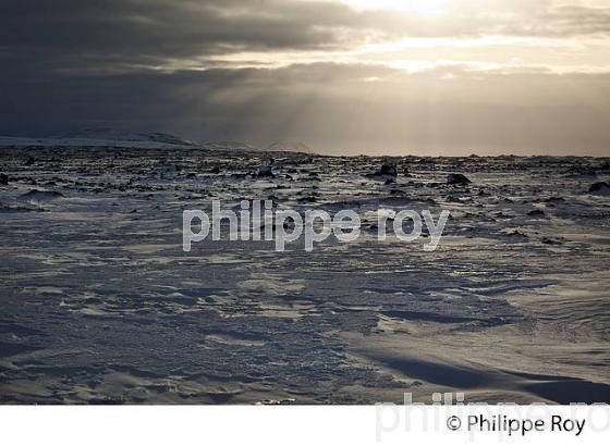 PAYSAGE D' HIVER, MASSIF  DU LANDMANNALAUGAR, SUDURLAND, ISLANDE (IS000925.jpg)