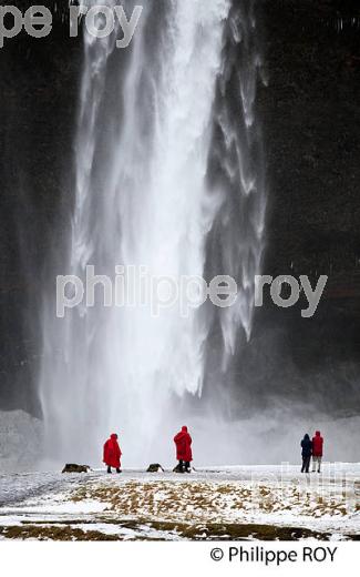 CASCADE  DE SELJALANDSFOSS EN HIVER, MASSIF DE EYJAFJOLL, SUDURLAND, ISLANDE (IS001101.jpg)