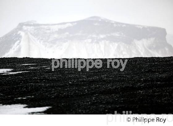 SABLE DE LAVE DE LA PLAGE DE SKOGASANDUR, SUDURLAND, ISLANDE (IS001109.jpg)