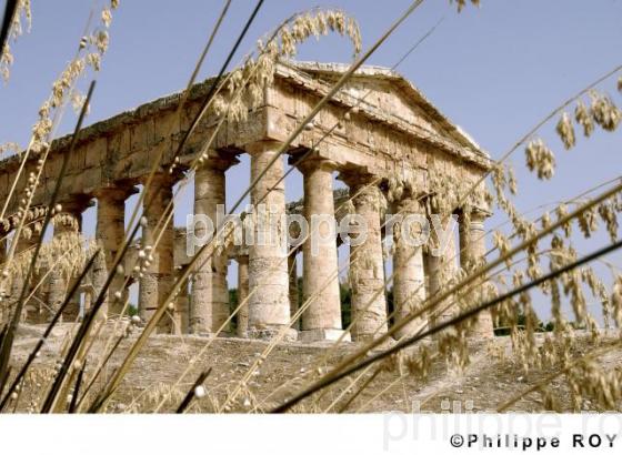 Temple Grec - Sicile (IT000128.jpg)