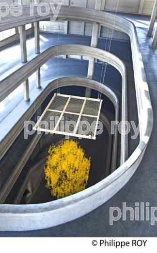 ANCIENNE USINE FIAT DE LINGOTTO,TURIN, ITALIE. (IT000635.jpg)