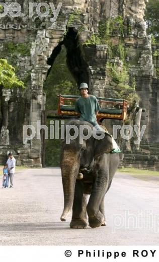 Angkor - Cambodge (KH000201.jpg)