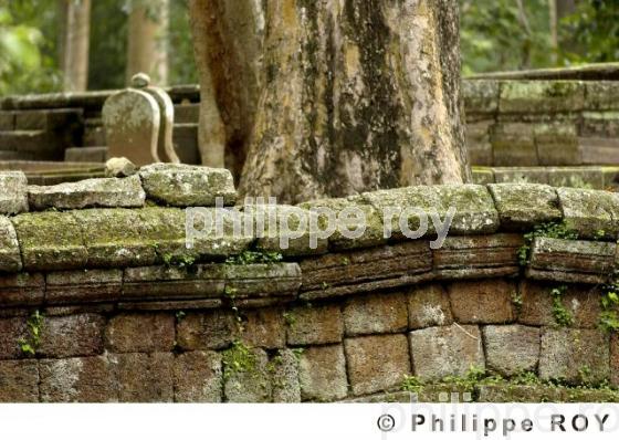 Angkor - Cambodge (KH000333.jpg)