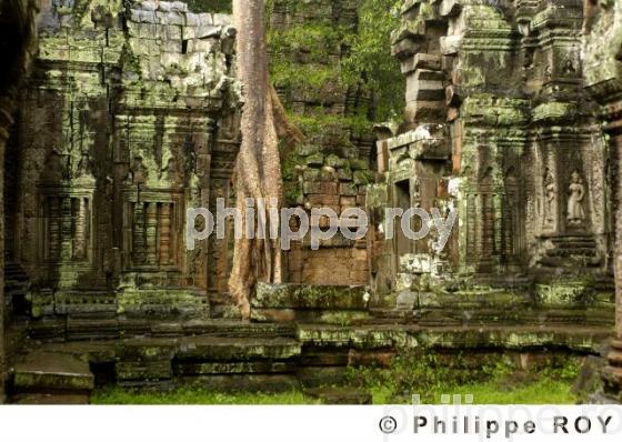 Angkor - Cambodge (KH000406.jpg)