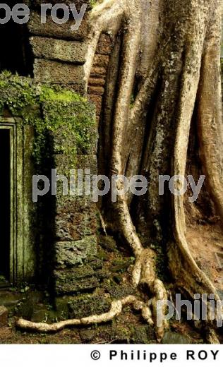 Angkor - Cambodge (KH000408.jpg)