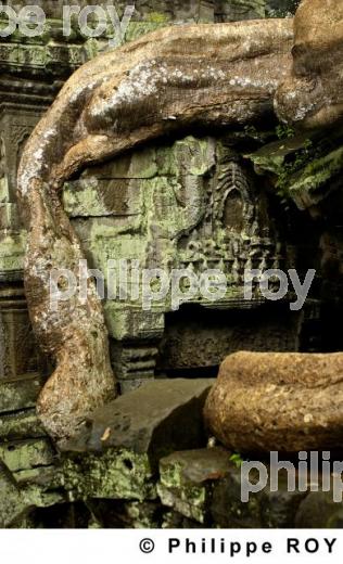 Angkor - Cambodge (KH000417.jpg)
