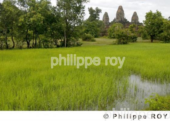 Le Cambodge - Asie (KH000429.jpg)