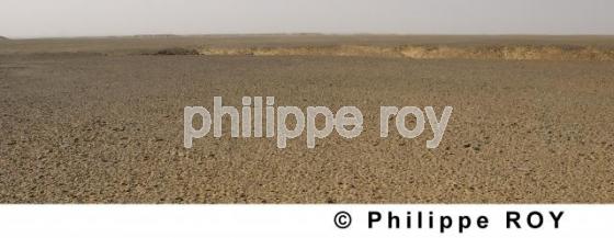 La Libye (LY000421.jpg)