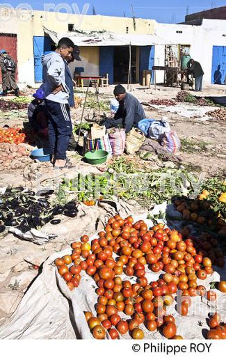 MARCHE DU VILLAGE DE TUDZI ,PROVINCE D' ESSAOUIRA, COTE ATLANTIQUE, MAROC. (MA000330.jpg)