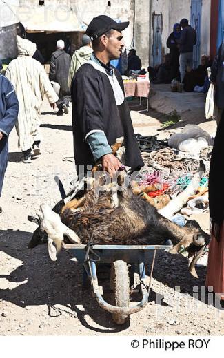 JOUR DE MARCHE , VILLAGE DE SMIMOU, PROVINCE D' ESSAOUIRA, MAROC. (MA000429.jpg)