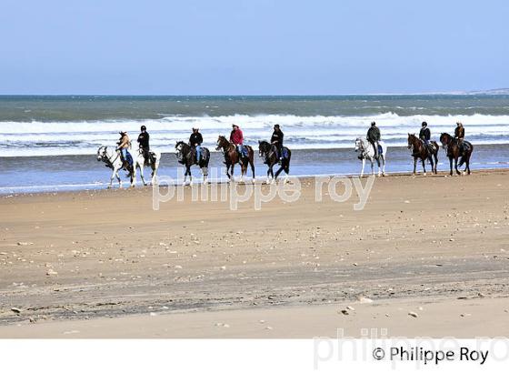 PLAGE DE TAKOUCHET,  VILLAGE D' AGHANAJE, PROVINCE D' ESSAOUIRA, COTE ATLANTIQUE, MAROC.E ATLANTIQUE, MAROC.SAOUIRA, COTE ATLANTIQUE, MAROC. (MA000716.jpg)