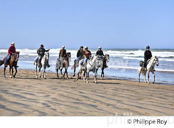 PLAGE DE TAKOUCHET,  VILLAGE D' AGHANAJE, PROVINCE D' ESSAOUIRA, COTE ATLANTIQUE, MAROC.E ATLANTIQUE, MAROC.SAOUIRA, COTE ATLANTIQUE, MAROC. (MA000719.jpg)