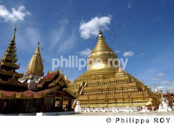 Plaine de Bagan - Birmanie (MM000224.jpg)