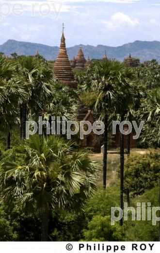 Plaine de Bagan - Birmanie (MM000301.jpg)