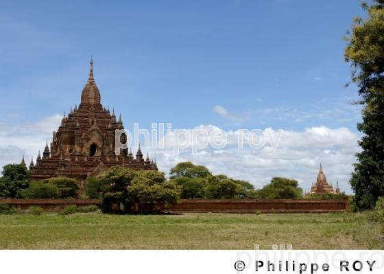Plaine de Bagan - Birmanie (MM000303.jpg)