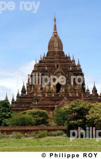 Plaine de Bagan - Birmanie (MM000304.jpg)