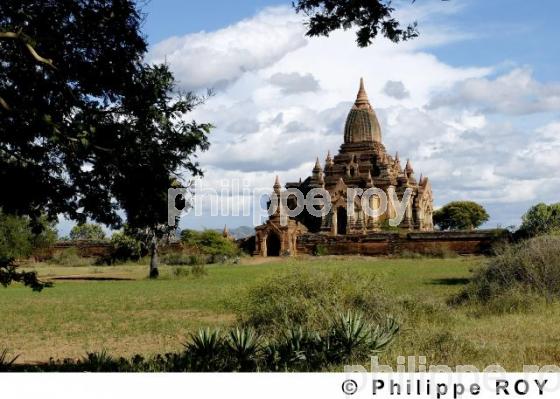 Plaine de Bagan - Birmanie (MM000323.jpg)