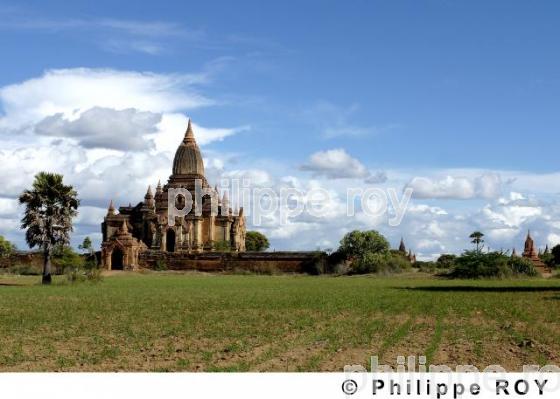 Plaine de Bagan - Birmanie (MM000324.jpg)
