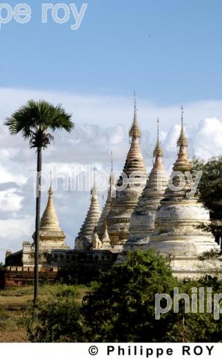 Plaine de Bagan - Birmanie (MM000327.jpg)