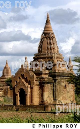 Plaine de Bagan - Birmanie (MM000328.jpg)