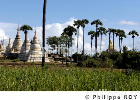 Plaine de Bagan - Birmanie (MM000329.jpg)