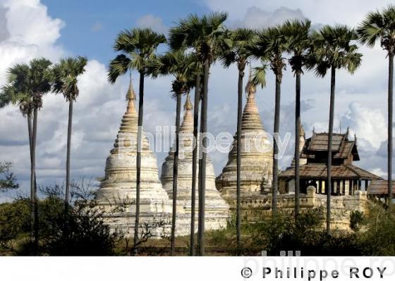 Plaine de Bagan - Birmanie (MM000330.jpg)