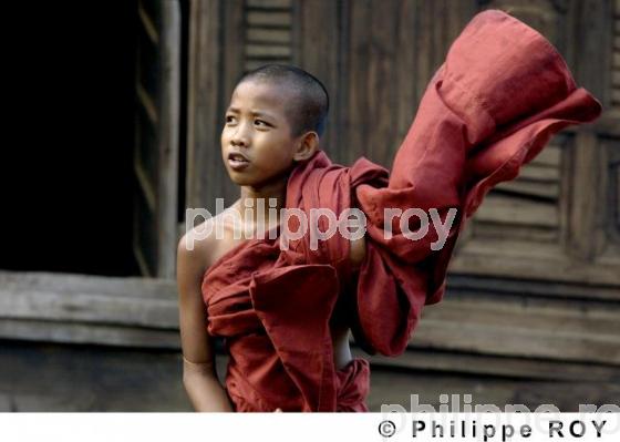 Bonze - Birmanie (MM000336.jpg)