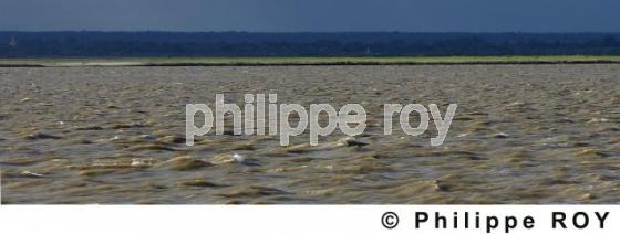 Fleuve Irrawaddy - Birmanie (MM000404.jpg)