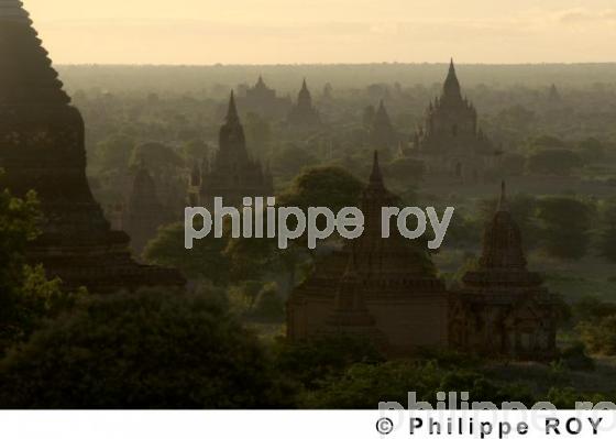 Plaine de Bagan - Birmanie (MM000508.jpg)