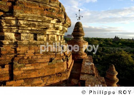 Plaine de Bagan - Birmanie (MM000509.jpg)