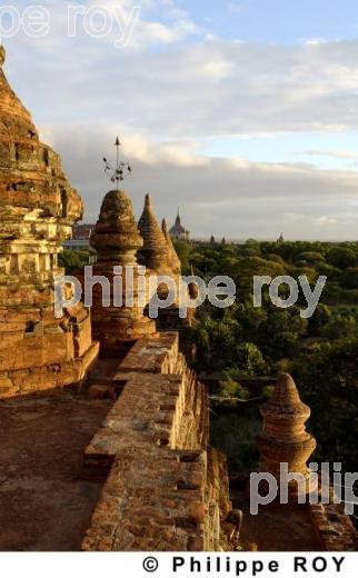 Plaine de Bagan - Birmanie (MM000511.jpg)
