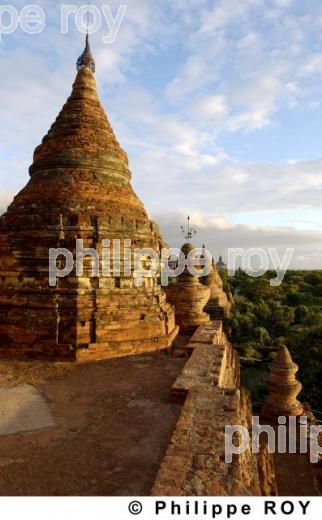 Plaine de Bagan - Birmanie (MM000512.jpg)