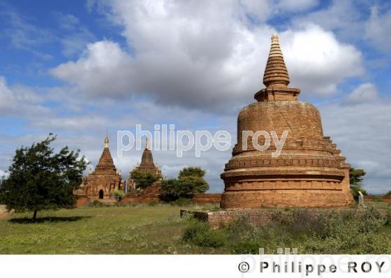 Plaine de Bagan - Birmanie (MM000634.jpg)