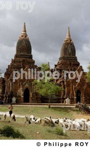 Plaine de Bagan - Birmanie (MM000716.jpg)