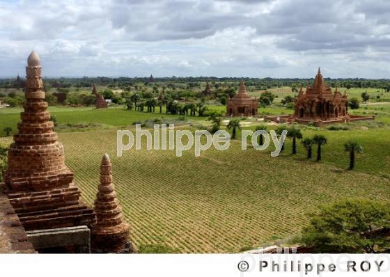 Plaine de Bagan - Birmanie (MM000728.jpg)