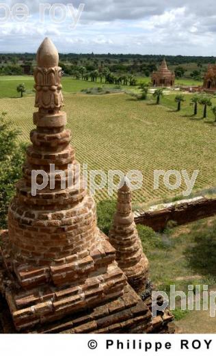 Plaine de Bagan - Birmanie (MM000729.jpg)