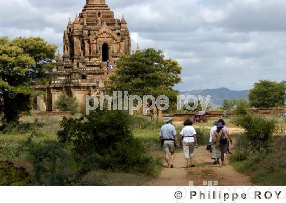 Plaine de Bagan - Birmanie (MM000736.jpg)