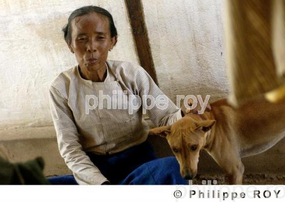 Phwa Saw - Birmanie (MM000820.jpg)