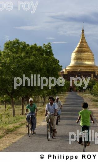 Plaine de Bagan - Birmanie (MM000931.jpg)