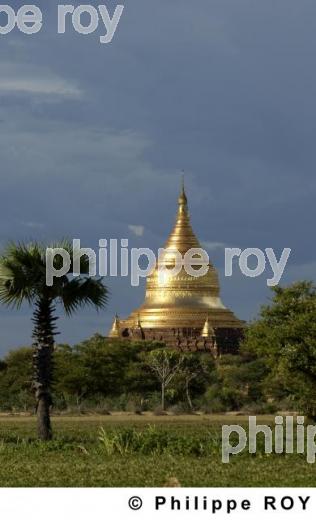 Plaine de Bagan - Birmanie (MM000932.jpg)