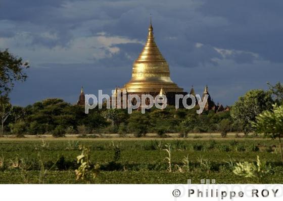 Plaine de Bagan - Birmanie (MM000934.jpg)