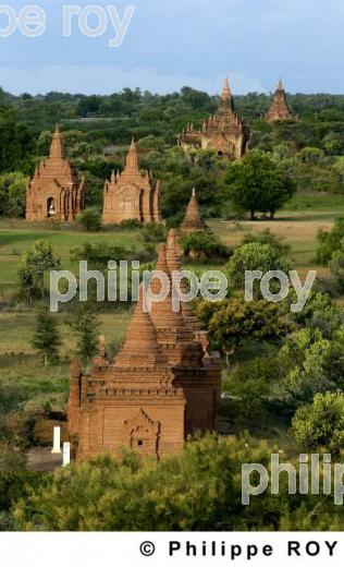 Plaine de Bagan - Birmanie (MM001006.jpg)