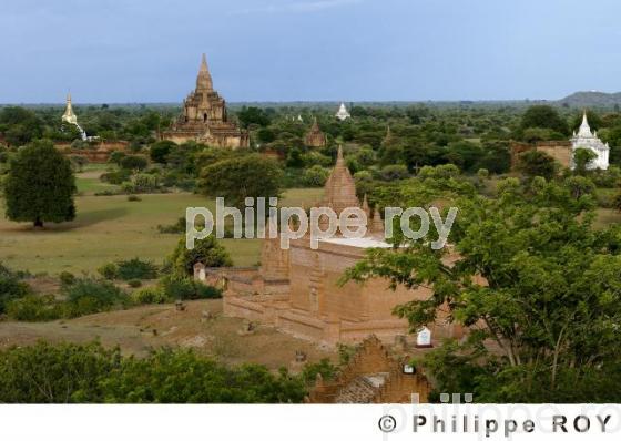 Plaine de Bagan - Birmanie (MM001008.jpg)